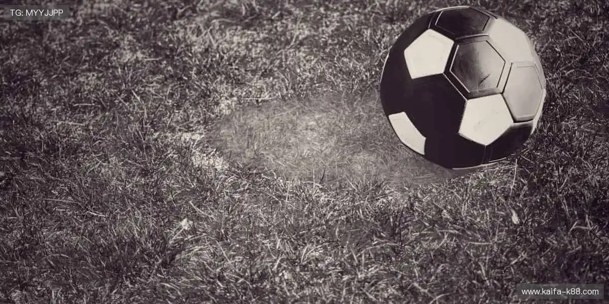 🌟个性设计，让你的运动装备与众不同！✨